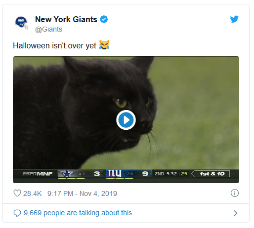 Black cat interrupts MNF game